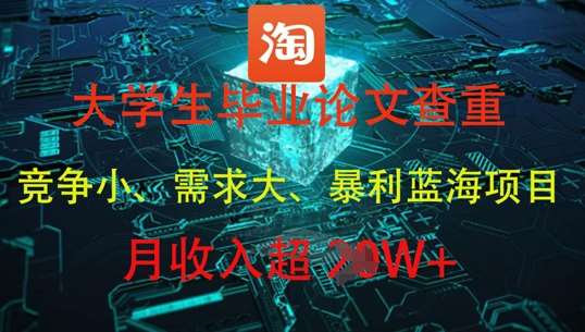 大学生毕业论文查重，暴利蓝海项目，月收入过1W+-三石淘金网