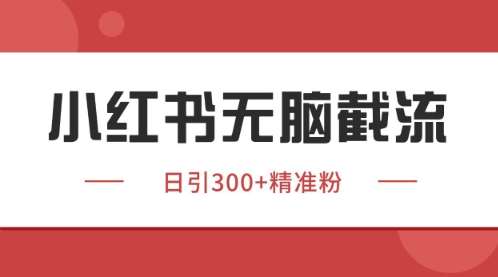 小红书只要你有同行就能获客，独家野路子获客玩法，暴力截流【揭秘】-三石资源库