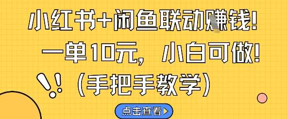 小红书+闲鱼联动挣钱，一单10元，小白可做-三石资源库