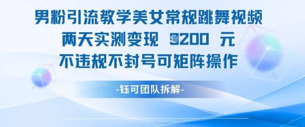 男粉引流教学美女常规跳舞视频两天实测变现1k+，不违规不封号可矩阵操作-三石淘金网