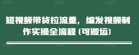 短视频带货拉流量，编发视频制作实操全流程(可搬运)-三石淘金网