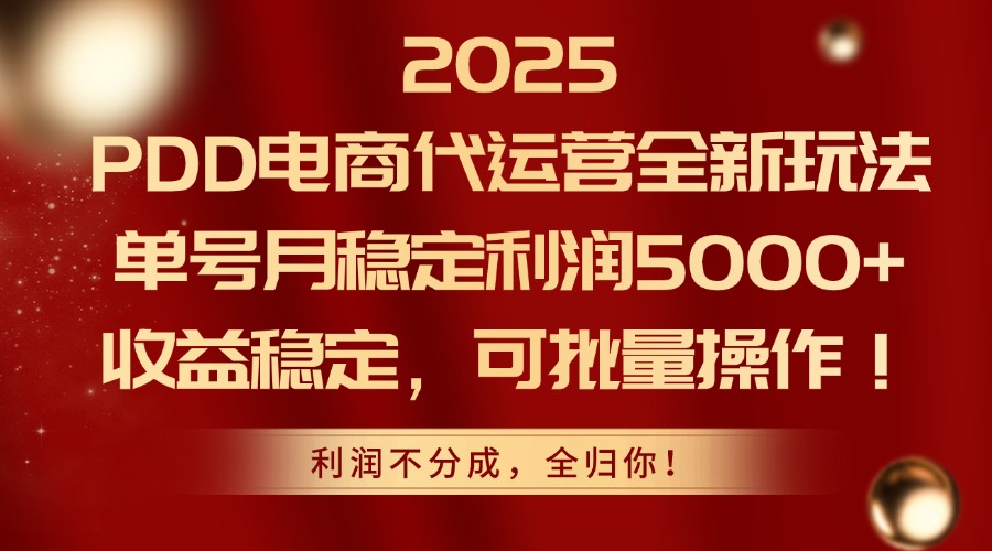 （14839期）2025PDD电商代运营全新玩法，单号月稳定利润5000+，收益稳定，可批量操作-三石资源库