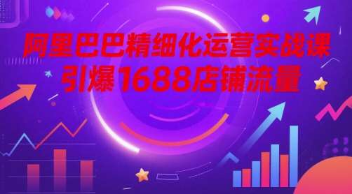 阿里巴巴精细化运营实战课，引爆1688店铺流量-三石资源库