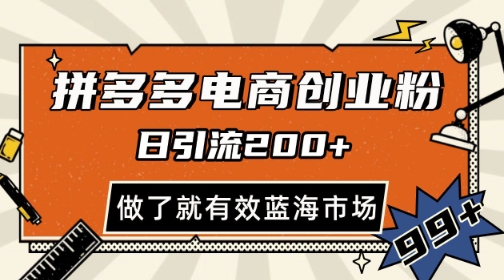 拼多多引流电商创业粉，日引200+，可矩阵放大，做了就有效【揭秘】-三石资源库