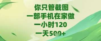 你只管截图，一部手机在家做，苹果安卓都可以，一天5张+【揭秘】-三石淘金网
