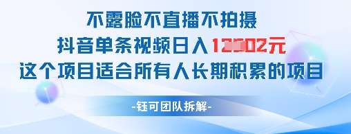 不露脸不直播不拍摄抖音单条视频日入1k+这个项目适合所有人长期积累的项目-三石资源库