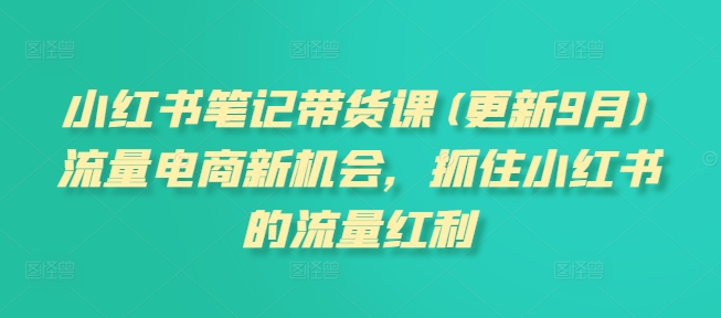 小红书笔记带货课(更新25年5月)流量电商新机会，抓住小红书的流量红利-三石资源库