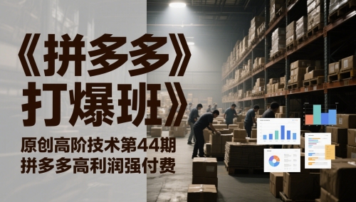 《拼多多打爆班》原创高阶技术第44期，拼多多高利润强付费-三石资源库