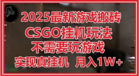 2025最新游戏搬砖，CSGO挂G，不需要玩游戏，实现真挂G，月入1W+【揭秘】-三石淘金网