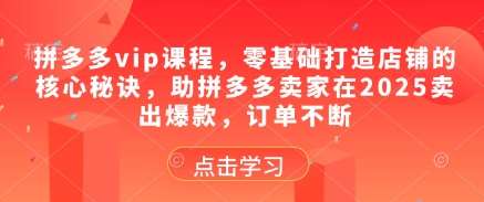 拼多多vip课程，零基础打造店铺的核心秘诀，助拼多多卖家在2025卖出爆款，订单不断-三石淘金网