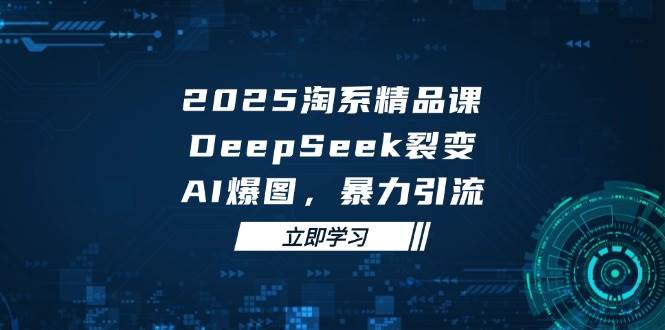 （14639期）2025 淘系精品课，DeepSeek 裂变，AI 爆图，暴力引流-三石资源库