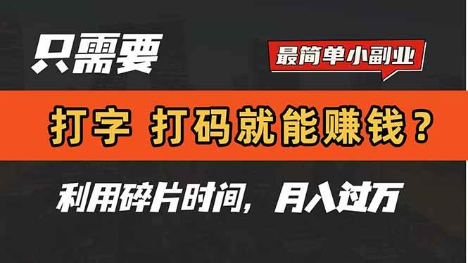 （14673期）只需要打字，打码，就能赚钱？简单的赚钱小副业，利用碎片时间，月入过万-三石资源库