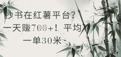 抄书在小红薯平台？平均一单30米，一天收益几张！-三石资源库