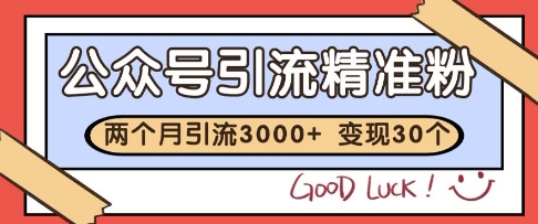 公众号精准粉引流玩法，2个月3000+精准粉，变现30个W【揭秘】-三石资源库