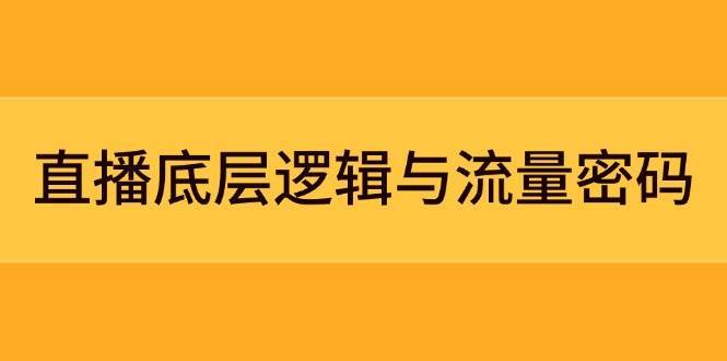 直播底层逻辑与流量密码：定位模型+案例拆解，急速流承接与数据优化全攻略-三石淘金网