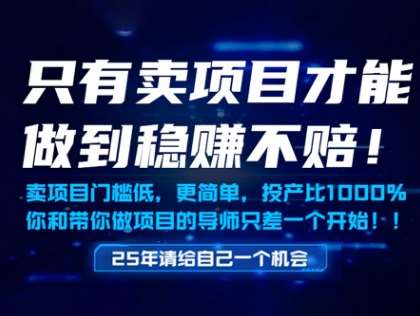 只有卖项目才能做到稳挣不赔，门槛低，更简单，你也可以年入百个W【揭秘】-三石资源库