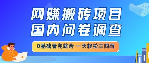 网创搬砖项目，国内问卷调查，小白轻松上手，一天三四张的也不难，干就完了【揭秘】-三石资源库