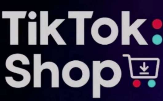 TikTokShop跨境电商0-1实战，手把手教你低成本启动海外市场（更新）-三石淘金网