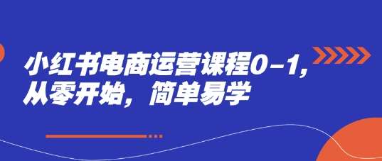 小红书电商运营课程0-1，从零开始，简单易学-三石淘金网