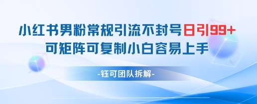 小红书男粉常规引流不封号日引99+变现简单 可矩阵可复制小白容易上手-三石资源库