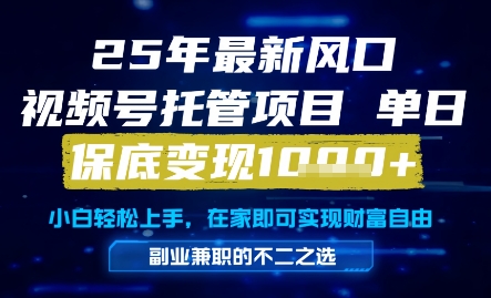 25年最新风口，视频号托管项目，单日保底变现1k+，手把手教学【揭秘】-三石资源库