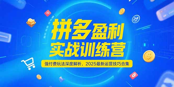 （15183期）拼多多盈利实战训练营，强付费玩法深度解析，2025运营技巧合集-更新6月-三石资源库