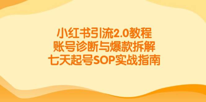 小红书引流2.0教程，账号诊断与爆款拆解，七天起号SOP实战指南-三石资源库