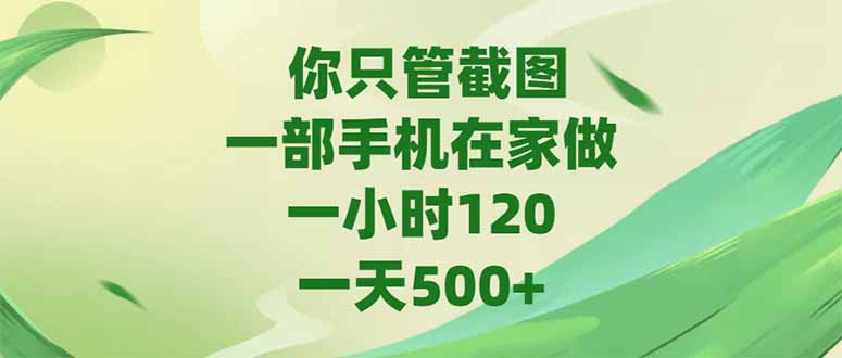 （15039期）你只管截图，一部手机在家做，一小时120，-天500+-三石资源库