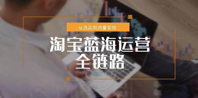 （15160期）淘宝蓝海运营全链路，从选品到流量变现，小类目突围完整方案-三石资源库
