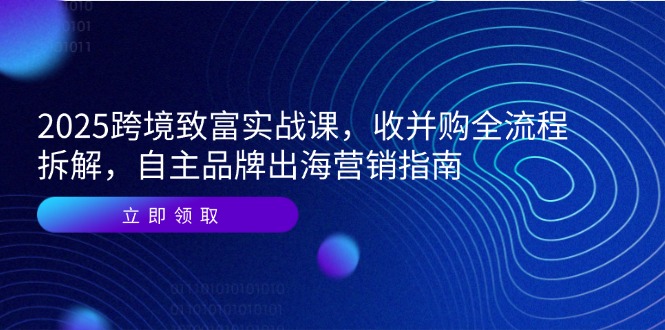 （14975期）2025跨境致富实战课，收并购全流程拆解，自主品牌出海营销指南-三石资源库