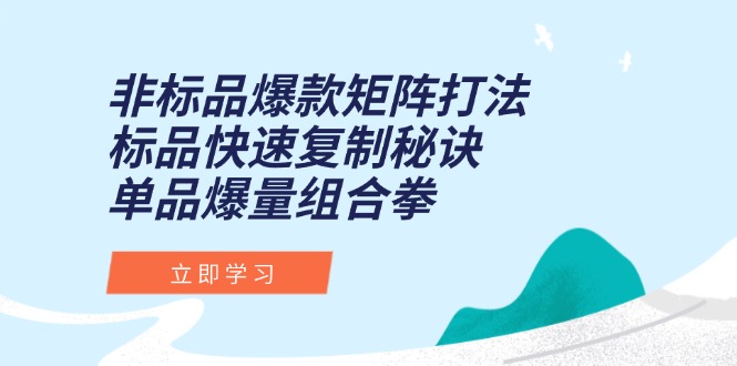 （15068期）非标品爆款矩阵打法，标品快速复制秘诀，单品爆量组合拳-三石资源库