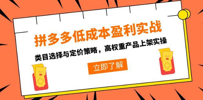 （15143期）拼多多低成本盈利实战，类目选择与定价策略，高权重产品上架实操-三石资源库