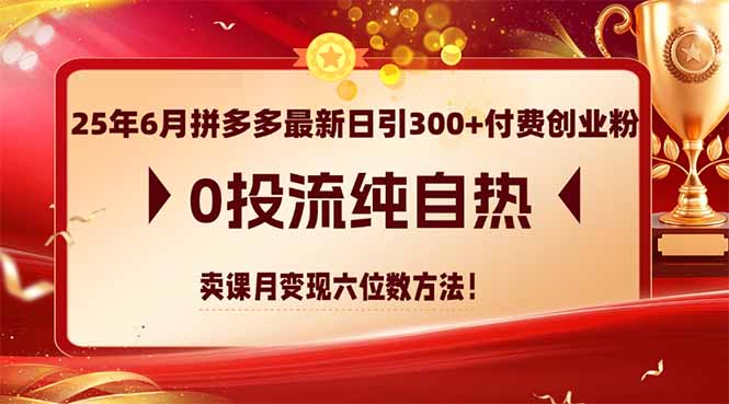 （14989期）25年6月拼多多最新日引300+付费创业粉，0投流纯自热 卖课月变现六位数方法-三石资源库