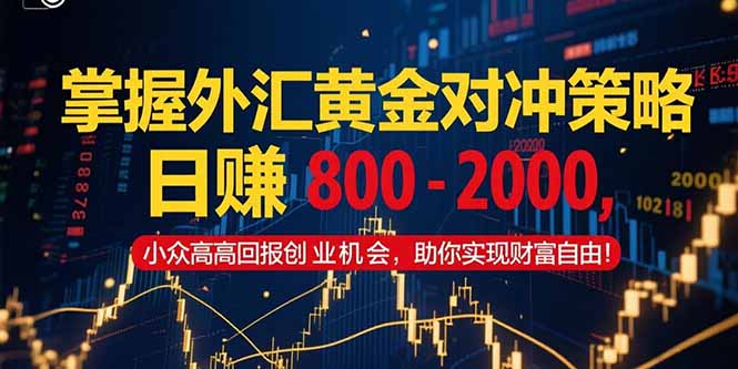 （15198期）掌握外汇黄金对冲策略，日赚 800 – 2000，小众高回报创业机会，助你实…-三石资源库