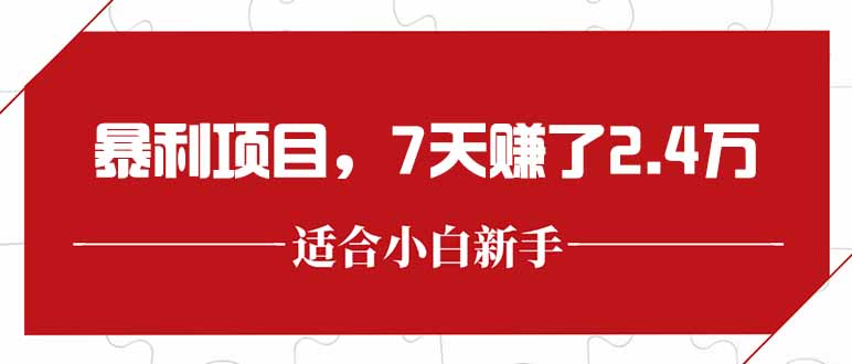（15228期）最新暴利项目，每单收益轻松在300以上，7天赚了2.4万-三石资源库
