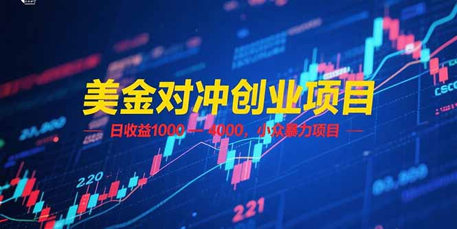 （15187期）美金对冲创业项目，日收益 1000 – 4000，小众暴力项目-三石资源库