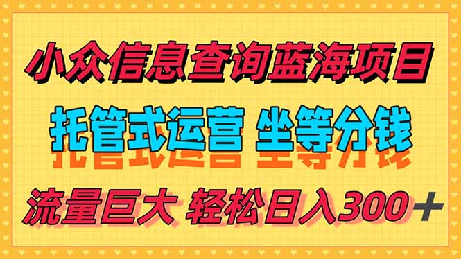 （15216期）稳定日入300＋，小众信息查询蓝海项目，全程懒人式托管，解放你的时间-三石资源库