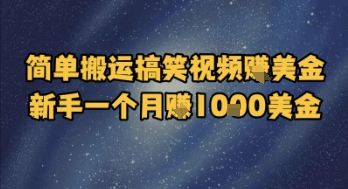 简单搬运搞笑视频挣美金，新手一个月入1k美金-三石资源库