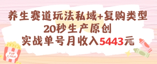 养生赛道玩法私域+复购类型，20秒生产原创实战单号月收入5k+-三石资源库