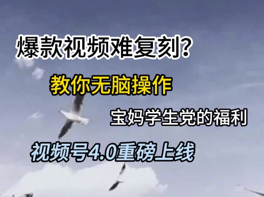 视频号4.0重磅上线，爆款视频难复刻？教你无脑操作宝妈学生党的福利【揭秘】-三石资源库