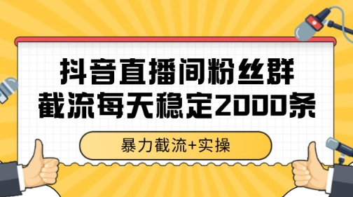 抖音直播间粉丝群暴力截流，一台电脑每天稳定2000条数据【揭秘】-三石资源库