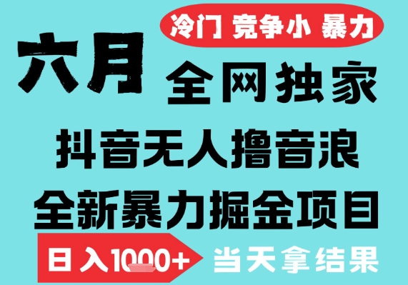 2025年6月高爆抖音无人直播最新撸音浪掘金项目，无脑日入1k+，低门槛小白可做，可矩阵放大【揭秘】-三石资源库