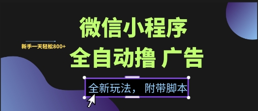 微信小程序全自动撸广告项目，彻底解决没流量的问题，新手一天8张+【揭秘】-三石资源库