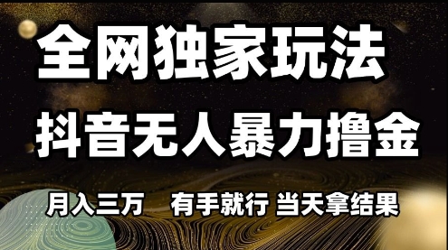 全网独家玩法抖音无人暴力撸金，月入3W，有手就行，当天拿结果【揭秘】-三石资源库