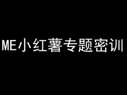 ME小红薯专题密训-小红书电商教程-三石资源库