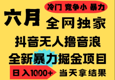 25年6月高爆抖音无人直播最新撸音浪掘金项目，小白可做，无脑日入1k+，门槛低可批量矩阵【揭秘】-三石资源库