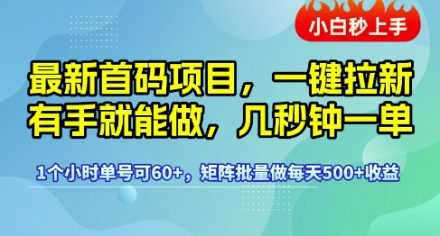 最新首码项目，一键拉新有手就能做，几秒钟一单，1个小时单号可60+，矩阵批量做每天5张【揭秘】-三石资源库