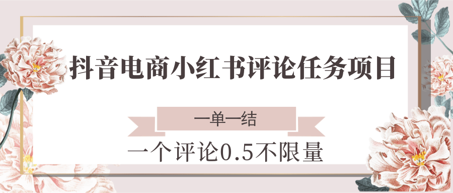 抖音电商小红书评论任务项目，一个评论0.5，一单一结 不限量-三石资源库
