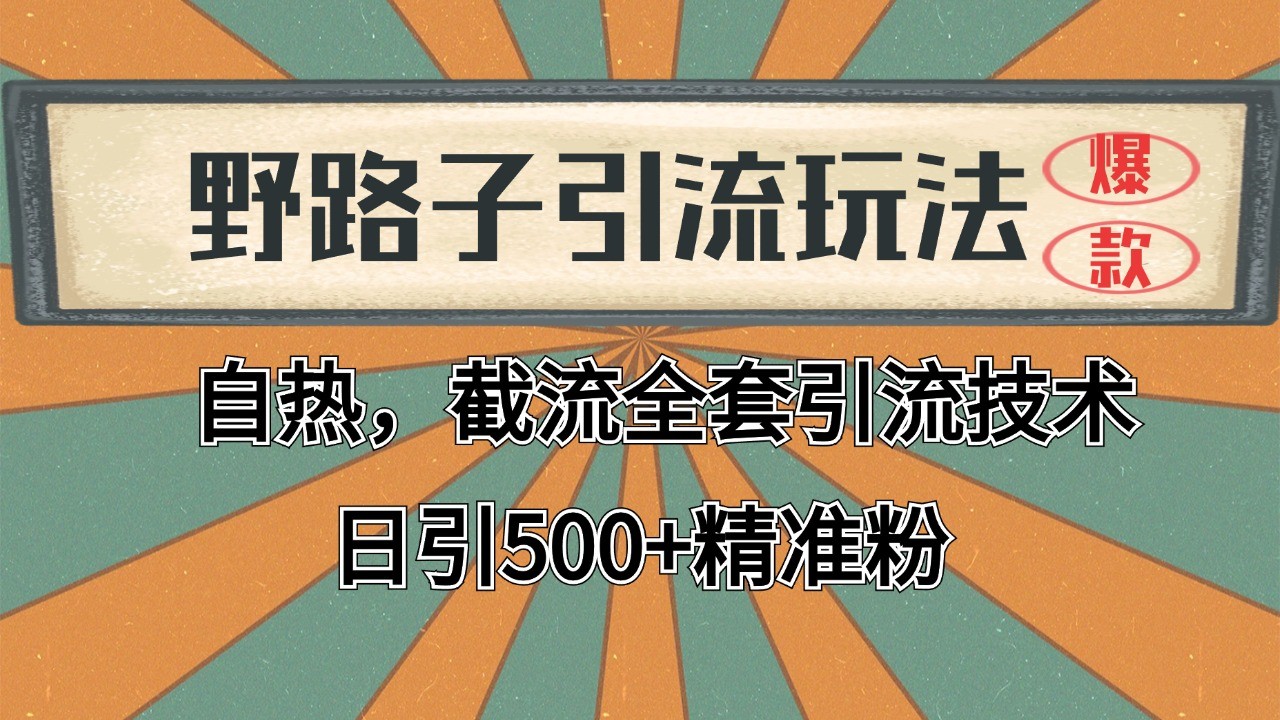 2024首发野路子引流玩法截流自热全平台打法，全自动引流【日引2000+精准客户】-三石资源库
