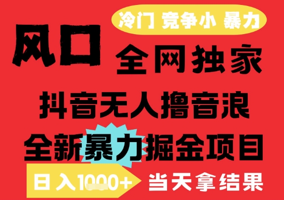 25年6月高爆抖音无人直播最新撸音浪掘金项目，解放双手小白可做，无脑日入1k+，门槛低【揭秘】-三石资源库